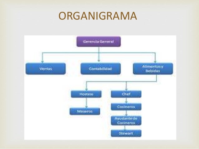organigrama de un casino