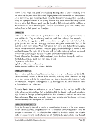Hotel Housekeeping, Semester- Second
Compiled & Printed by ECDL Educations Pvt. Ltd. Page 57
control should begin with good housekeeping. It is important to know something about
the habits of the pests in order to take proper preventative measures and to select and
apply appropriate pest control products correctly. Using the wrong control product or
using the right product but in the wrong manner may result in unsatisfactory control.
Keep in mind that different pests may be found in different parts of the building, in
different seasons or in different years. Below a few common pests found in the hotels
and methods of their control are described.
10.3 MOTHS
Clothes and house moths are of a pale buff color and are seen flying mainly between
June and October. They are relatively small and rarely live for longer than a month.
The female lays its eggs (up to 200) in some dark, warm place on material which the
grubs (larvae) will later eat. The eggs hatch and the grubs immediately feed on the
material as they move about. When fully grown they crawl into sheltered places, spin a
cocoon round themselves become a chrysalis (pupa) and later emerge as moths to start
another life cycle. The entire life cycle (egg-grub-chrysalis-moth) varies from one month
or two years depending on the food available, temperature and humidity).
Thus it follows that the articles which most need protection from damage by moth are:
Blankets, bedding and quilts (not man-made fibers);
Carpets and under felts;
Upholstered furniture and curtains;
Stuffed animals and birds, i.e. Fur and feathers.
10.4 CARPET BEETLES
Carpet beetles are 2-4 mm long like small mottled brown, grey and cream ladybirds. The
larvae are small, covered in brown hairs and tend to rollup when disturbed. As they
grow, they mould and the old cast-off skins may be the first sign of infestation. Adults
are often seen April-June, seeking places to lay their eggs and the larvae are most active
in October before they hibernate.
The adult beetle feeds on pollen and nectar of flowers but lays its eggs in old birds‟
nests, fabrics and accumulated fluff in buildings. It is the larvae which hatch from these
eggs that do the damage by feeding on feathers, fur, hair or wool and articles made from
these substances. They tend to wander along pipes from the roof to storage cupboards
and under floorboards to carpets and under felts.
10.5 WOOD BORING BEETLES
These beetles can be likened to moths or carpet beetles, in that it is the grub, larva or
„worm‟ which does the damage to the wood. The common furniture beetle lays about 20-
60 eggs in cracks and crevices of unpolished wood, e.g. flooring, panels, roof timbers,
backs of wardrobes and chests of drawers. On hatching, the grub eats its way through
 