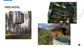 TREE HOTEL
 