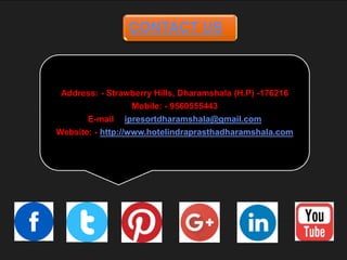 CONTACT US
Address: - Strawberry Hills, Dharamshala (H.P) -176216
Mobile: - 9560555443
E-mail: - ipresortdharamshala@gmail.com
Website: - http://www.hotelindraprasthadharamshala.com
 