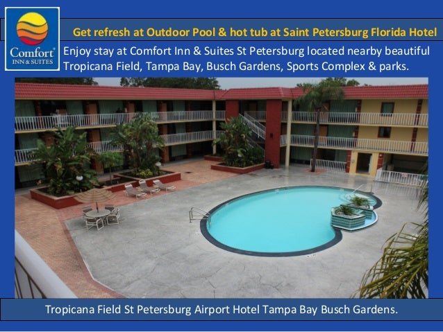 Hotel In Saint Petersburg Fl