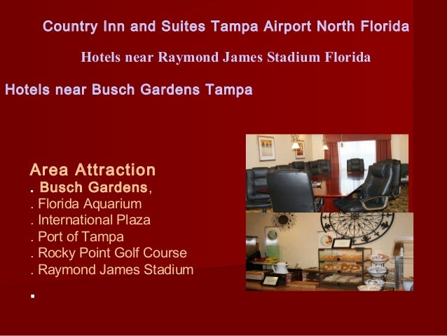 Hotels Near Busch Gardens Tampa With Free Shuttle Hotels Near Busch Gardens Tampa With Free Shuttle