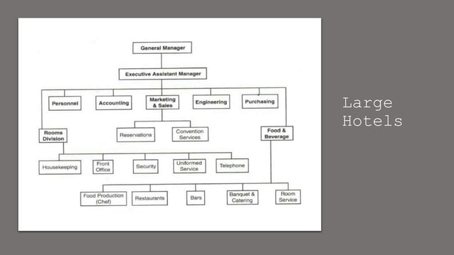 Hotel Organization Presentation LMS.pptx