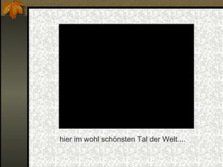 hier im wohl schönsten Tal der Welt.... 