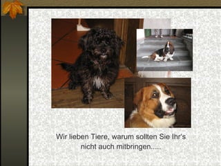 Wir lieben Tiere, warum sollten Sie Ihr‘s nicht auch mitbringen..... 