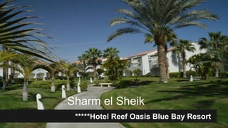 Sharm el Sheik
*****Hotel Reef Oasis Blue Bay Resort
 
