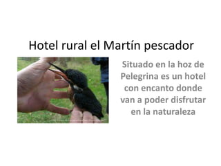 Hotel rural el Martín pescador
Situado en la hoz de
Pelegrina es un hotel
con encanto donde
van a poder disfrutar
en la naturaleza
 