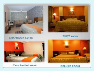 SUITE room
SHAMROCK SUITE




  Twin Bedded room   DELUXE ROOM
 