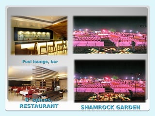 Fuel lounge, bar




 6’ spices,
RESTAURANT         SHAMROCK GARDEN
 