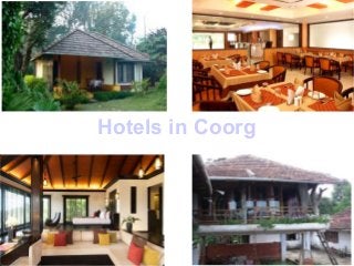 Hotels in Coorg

 