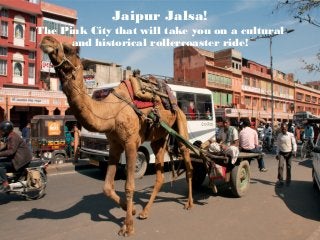 Jaipur Jalsa!
The Pink City that will take you on a cultural
and historical rollercoaster ride!
 
