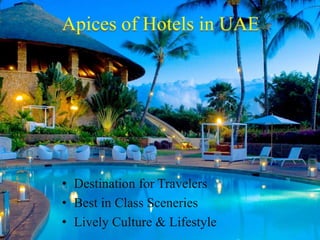 ? Destination for Travelers
? Best in Class Sceneries
? Lively Culture & Lifestyle
 