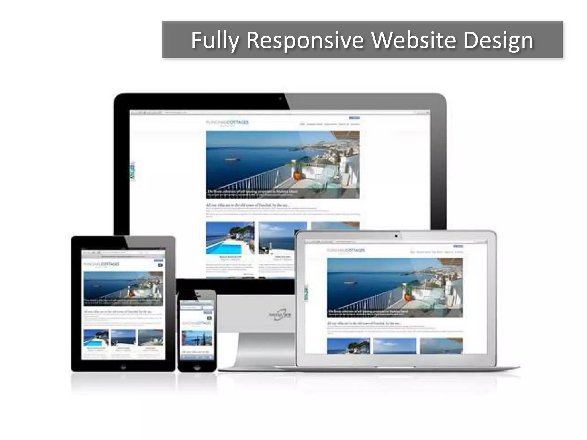 Fully Responsive Website Design
 