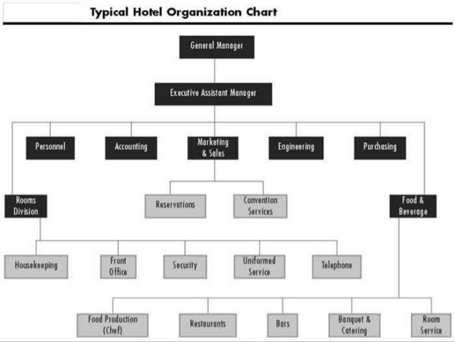 Hotel structure and staff.pptx(ruth ann hrt)