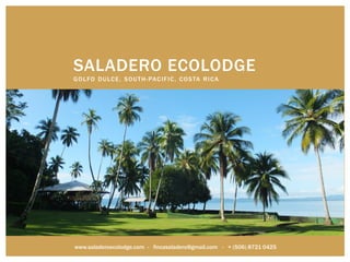 SALADERO ECOLODGE
GOLFO DULCE, SOUTH-PACIFIC, COSTA RICA
www.saladeroecolodge.com - fincasaladero@gmail.com - + (506) 8721 0425
 