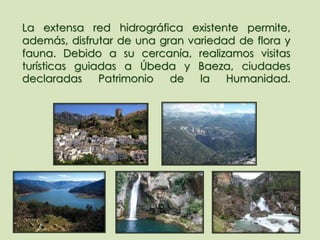 La extensa red hidrográfica existente permite,
además, disfrutar de una gran variedad de flora y
fauna. Debido a su cercanía, realizamos visitas
turísticas guiadas a Úbeda y Baeza, ciudades
declaradas Patrimonio de la Humanidad.
 