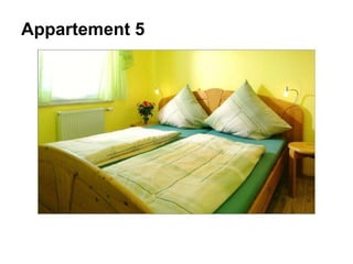 Appartement 5
 