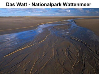 Das Watt - Nationalpark Wattenmeer
 
