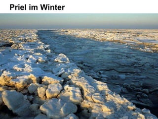 Priel im Winter
 