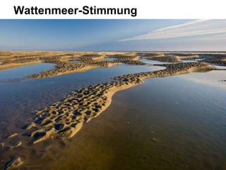 Wattenmeer-Stimmung
 