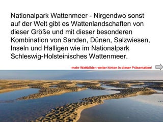 Nationalpark Wattenmeer - Nirgendwo sonst
auf der Welt gibt es Wattenlandschaften von
dieser Größe und mit dieser besonderen
Kombination von Sanden, Dünen, Salzwiesen,
Inseln und Halligen wie im Nationalpark
Schleswig-Holsteinisches Wattenmeer.
mehr Wattbilder: weiter hinten in dieser Präsentation!
 