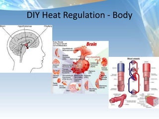 DIY Heat Regulation - Body
 