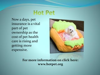 Now a days, pet
insurance is a vital
part of pet
ownership as the
cost of pet health
care is rising and
getting more
expensive.
For more information on click here:
www.hotpet.org
 