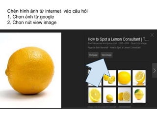 Chèn hình ảnh từ internet vào câu hỏi 
1. Chọn ảnh từ google 
2. Chon nút view image 
 