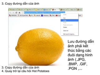 3. Copy đường dẫn của ảnh 
3. Copy đường dẫn của ảnh 
4. Quay trở lại câu hỏi Hot Potatoes 
Lưu đường dẫn 
ảnh phải kết 
thúc bằng các 
đuôi dạng hình 
ảnh (.JPG, 
.BMP, .GIF, 
.PGN ,... 
 