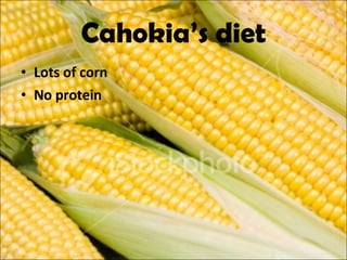 Cahokia’s diet Lots of corn No protein  
