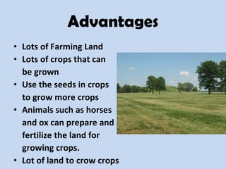 Advantages Lots of Farming Land Lots of crops that can be grown Use the seeds in crops to grow more crops Animals such as horses and ox can prepare and  fertilize the land for growing crops. Lot of land to crow crops 