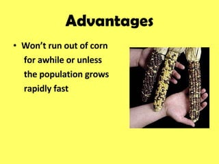 Advantages Won’t run out of corn for awhile or unless the population grows rapidly fast 