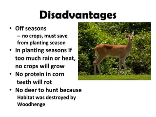 Disadvantages Off seasons  no crops, must save  from planting season In planting seasons if  too much rain or heat,  no crops will grow No protein in corn  teeth will rot No deer to hunt because Habitat was destroyed by  Woodhenge 