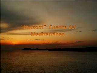 “Hotspot”: Cuenca del Mediterráneo. 
