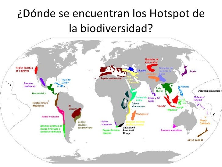 Resultado de imagen para donde se encuentran los hotspots de biodiversidad