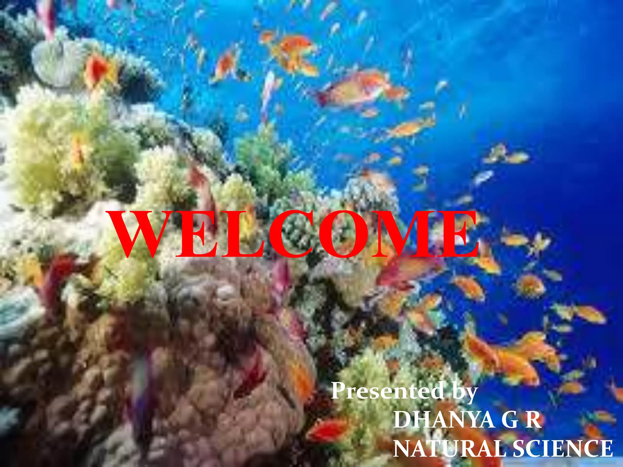 WELCOME
Presented by
DHANYA G R
NATURAL SCIENCE