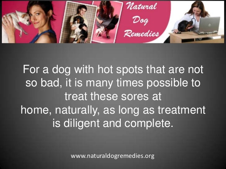 how to treat dog hot spot at home