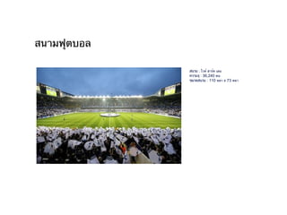 สนามฟุตบอล

             สนาม : ไวท์ ฮาร์ท เลน
             ความจุ : 36,240 คน
             ขนาดสนาม : 110 หลา x 73 หลา
 