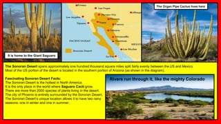The Sonoran Desert spans approximately one hundred thousand square miles split fairly evenly between the US and Mexico.
Most of the US portion of the desert is located in the southern portion of Arizona (as shown in the diagram).
Fascinating Sonoran Desert Facts:
The Sonoran Desert is the hottest in North America.
It is the only place in the world where Saguaro Cacti grow.
There are more than 2000 species of plants living in the desert.
The city of Phoenix is entirely surrounded by the Sonoran Desert.
The Sonoran Desert’s unique location allows it to have two rainy
seasons: one in winter and one in summer.
It is home to the Giant Saguaro
The Organ Pipe Cactus lives here
Rivers run through it, like the mighty Colorado
 