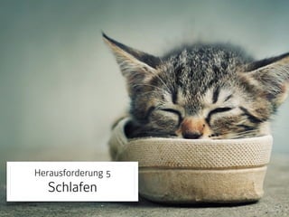 Herausforderung 5 
Schlafen 
 