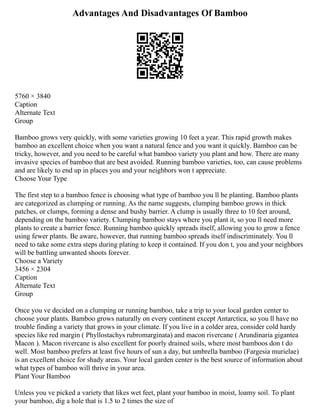 Advantages And Disadvantages Of Bamboo
5760 × 3840
Caption
Alternate Text
Group
Bamboo grows very quickly, with some varieties growing 10 feet a year. This rapid growth makes
bamboo an excellent choice when you want a natural fence and you want it quickly. Bamboo can be
tricky, however, and you need to be careful what bamboo variety you plant and how. There are many
invasive species of bamboo that are best avoided. Running bamboo varieties, too, can cause problems
and are likely to end up in places you and your neighbors won t appreciate.
Choose Your Type
The first step to a bamboo fence is choosing what type of bamboo you ll be planting. Bamboo plants
are categorized as clumping or running. As the name suggests, clumping bamboo grows in thick
patches, or clumps, forming a dense and bushy barrier. A clump is usually three to 10 feet around,
depending on the bamboo variety. Clumping bamboo stays where you plant it, so you ll need more
plants to create a barrier fence. Running bamboo quickly spreads itself, allowing you to grow a fence
using fewer plants. Be aware, however, that running bamboo spreads itself indiscriminately. You ll
need to take some extra steps during plating to keep it contained. If you don t, you and your neighbors
will be battling unwanted shoots forever.
Choose a Variety
3456 × 2304
Caption
Alternate Text
Group
Once you ve decided on a clumping or running bamboo, take a trip to your local garden center to
choose your plants. Bamboo grows naturally on every continent except Antarctica, so you ll have no
trouble finding a variety that grows in your climate. If you live in a colder area, consider cold hardy
species like red margin ( Phyllostachys rubromarginata) and macon rivercane ( Arundinaria gigantea
Macon ). Macon rivercane is also excellent for poorly drained soils, where most bamboos don t do
well. Most bamboo prefers at least five hours of sun a day, but umbrella bamboo (Fargesia murielae)
is an excellent choice for shady areas. Your local garden center is the best source of information about
what types of bamboo will thrive in your area.
Plant Your Bamboo
Unless you ve picked a variety that likes wet feet, plant your bamboo in moist, loamy soil. To plant
your bamboo, dig a hole that is 1.5 to 2 times the size of
 