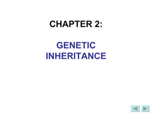 CHAPTER 2: GENETIC INHERITANCE 