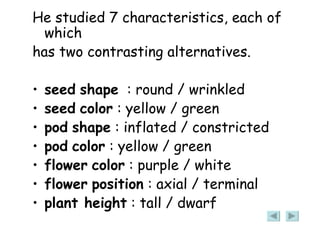 He studied 7 characteristics, each of which has two contrasting alternatives. seed   shape   : round / wrinkled seed   color  : yellow / green pod   shape  : inflated / constricted pod   color  : yellow / green flower   color  : purple / white flower   position  : axial / terminal plant height  : tall / dwarf 