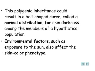 This polygenic inheritance could result in a bell-shaped curve, called a  normal   distribution , for skin darkness among the members of a hypothetical population.  Environmental   factors , such as exposure to the sun, also affect the skin-color phenotype.  