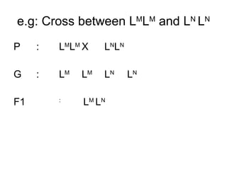 e.g: Cross between L M L M  and L N  L N P : L M L M X L N L N G : L M L M L N L N F1 :   L M  L N 