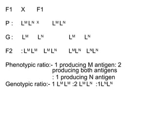 F1 X F1 P : L M  L N X L M  L N G :   L M   L N   L M    L N F2 :   L M  L M  L M  L N   L M L N   L N L N Phenotypic ratio:- 1 producing M antigen: 2  producing both antigens : 1 producing N antigen Genotypic ratio:- 1 L M  L M  :2 L M  L N   :1L N L N 