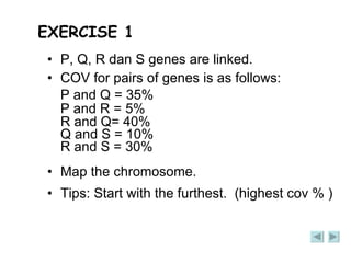 EXERCISE 1 P, Q, R dan S genes are linked.  COV for pairs of genes is as follows: P and Q = 35% P and R = 5% R and Q= 40% Q and S = 10% R and S = 30% Map the chromosome. Tips: Start with the furthest.  (highest cov % ) 