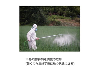 ※他の農家の例:真夏の散布
(暑くて作業終了後に放心状態になる)
 