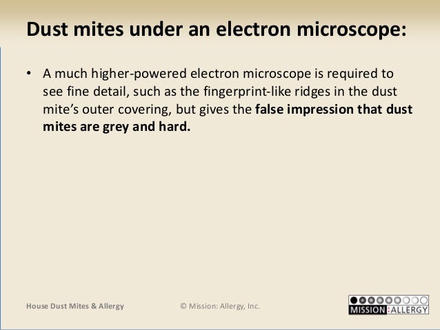 House Dust Mites Allergy Jeffrey D Miller Md