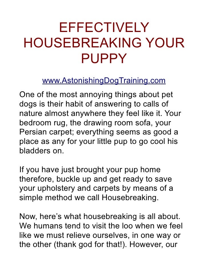 Housebreaking A Puppy